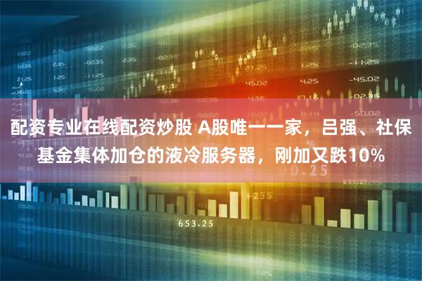 配资专业在线配资炒股 A股唯一一家，吕强、社保基金集体加仓的液冷服务器，刚加又跌10%