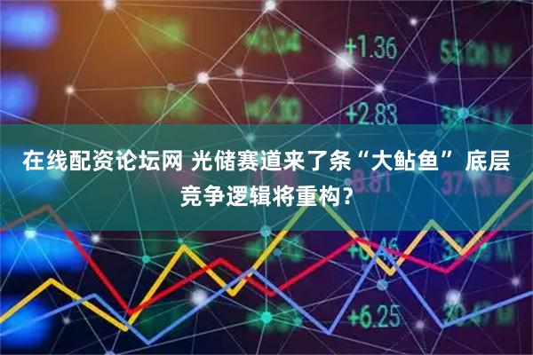 在线配资论坛网 光储赛道来了条“大鲇鱼” 底层竞争逻辑将重构？